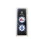 Quebec Nordiques Poker Chip Ball Markers (2-Pack)