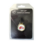Quebec Nordiques Visor Clip Package